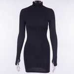 Turtleneck Long Sleeve Bodycon