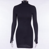 Turtleneck Long Sleeve Bodycon