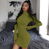 Turtleneck Long Sleeve Bodycon