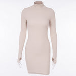 Turtleneck Long Sleeve Bodycon