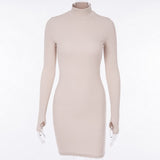 Turtleneck Long Sleeve Bodycon