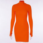 Turtleneck Long Sleeve Bodycon