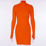 Turtleneck Long Sleeve Bodycon