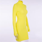 Turtleneck Long Sleeve Bodycon