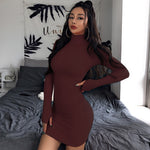 Turtleneck Long Sleeve Bodycon